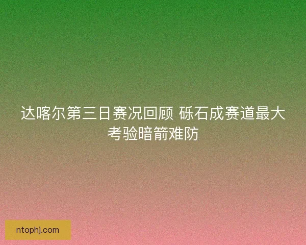 达喀尔第三日赛况回顾 砾石成赛道最大考验暗箭难防