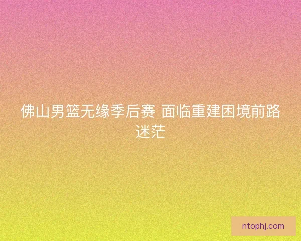 佛山男篮无缘季后赛 面临重建困境前路迷茫